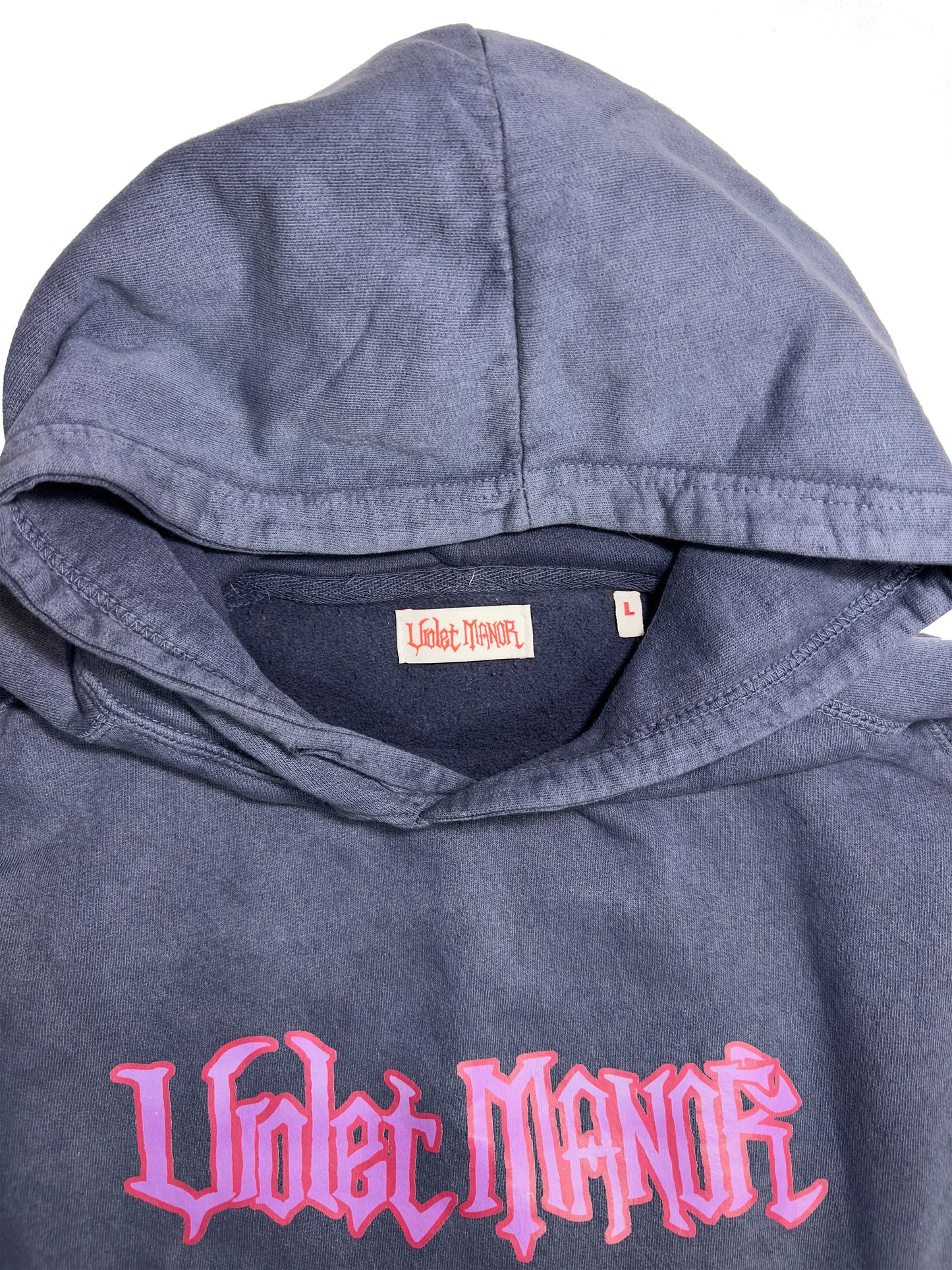 Blueberry logo hoodie