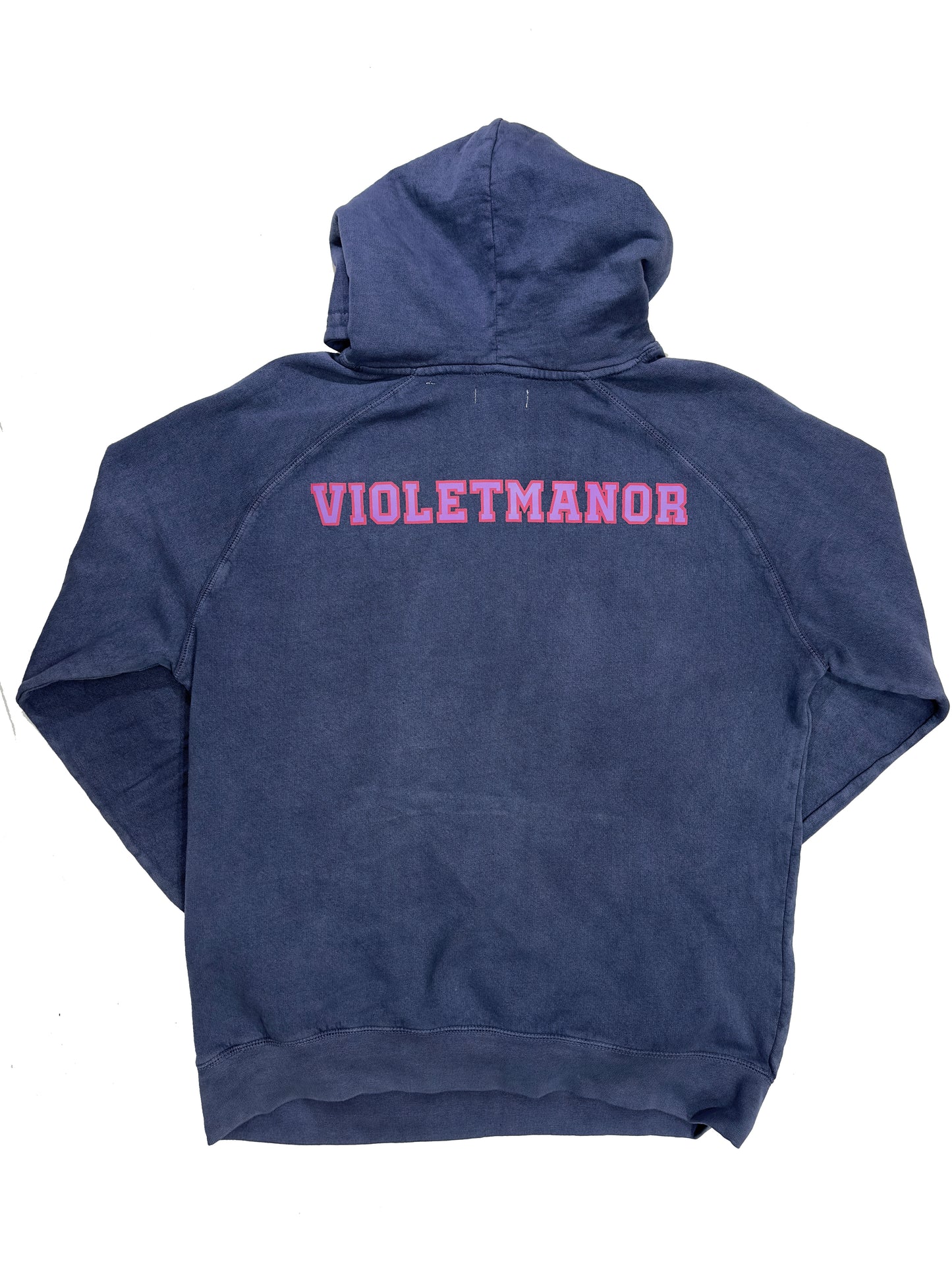 Blueberry logo hoodie